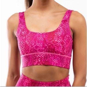 IVL Collective Knockout Snake Print Colorful
Sports Bra